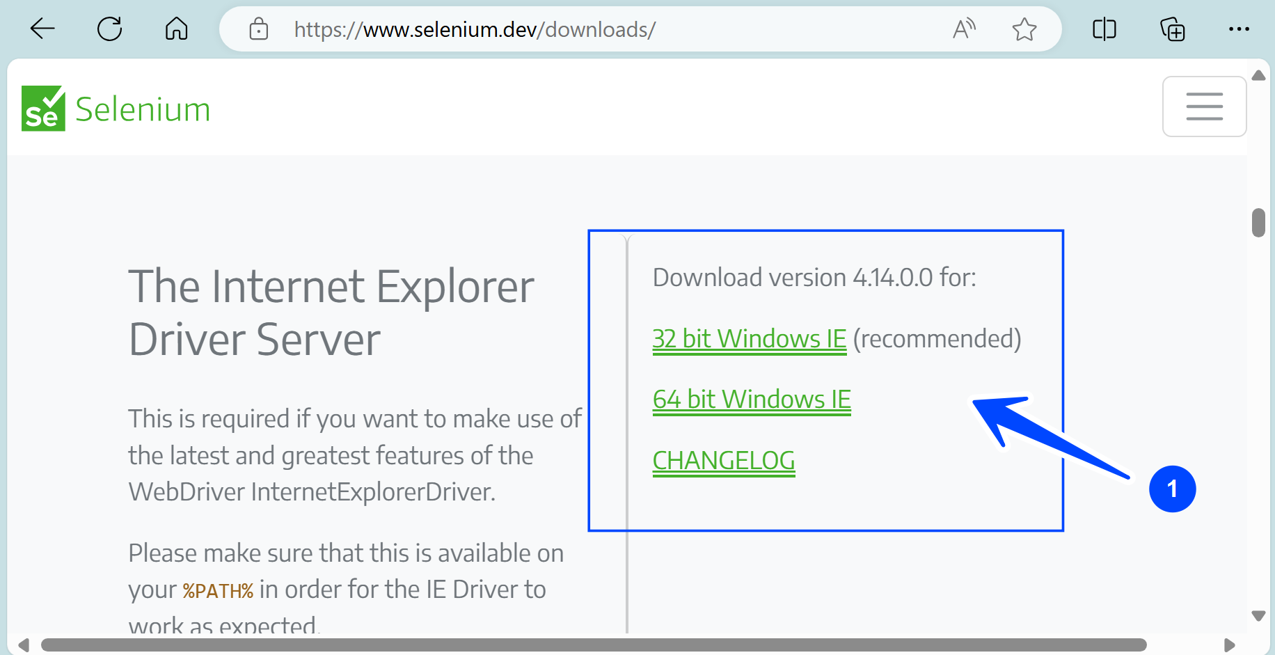 Internet Explorer Driver Server Download
