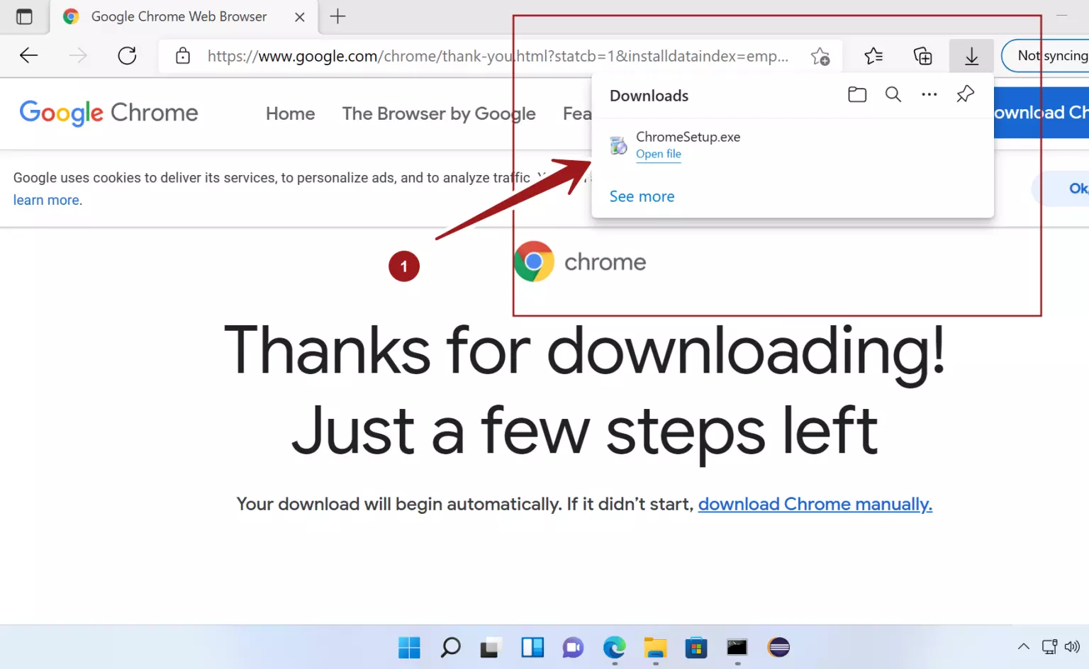 Install Google Chrome on Windows 11  TestingDocs.com