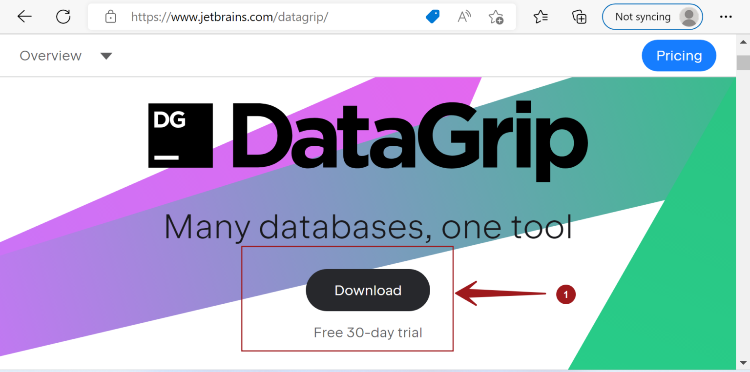 download data grip