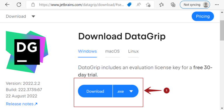 download datagrip