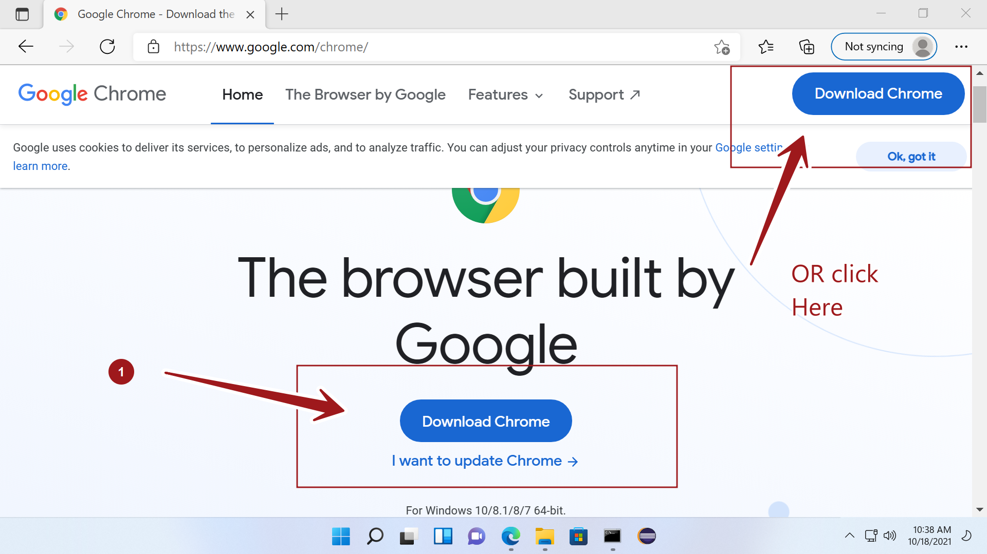download google chrome latest version for windows 10