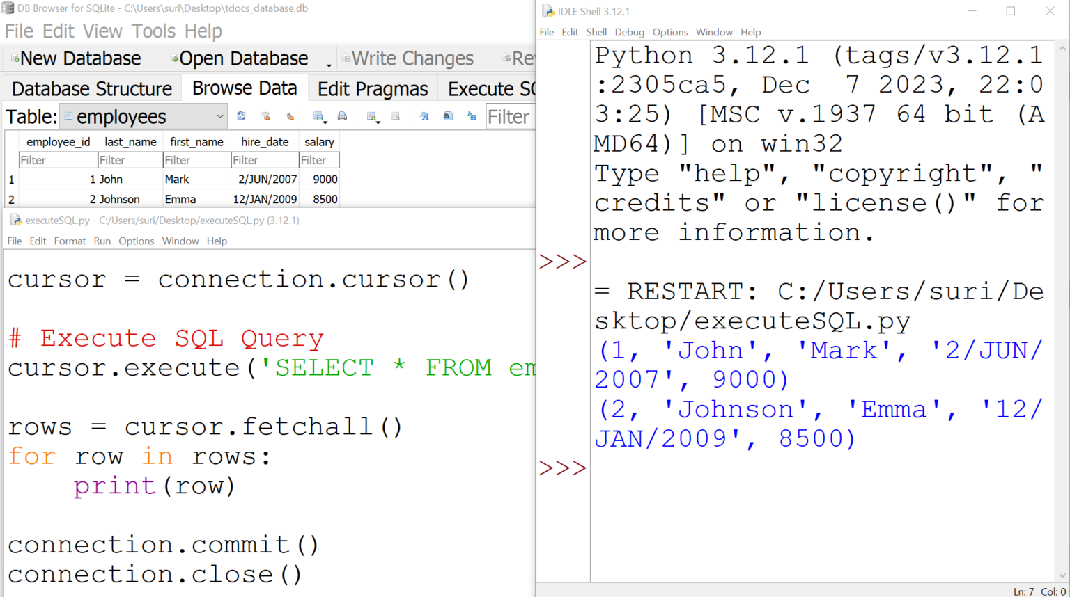 Python Execute Sql Query 5545