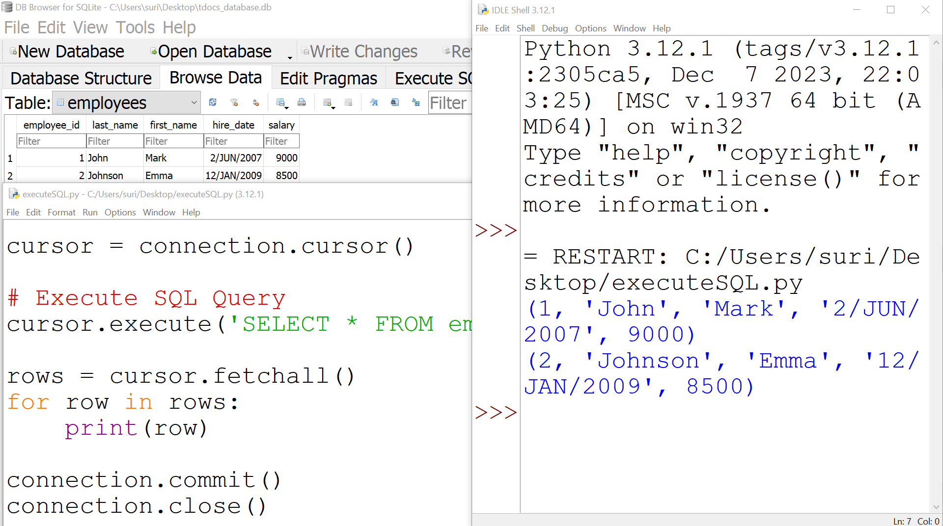 Python Execute SQL Query