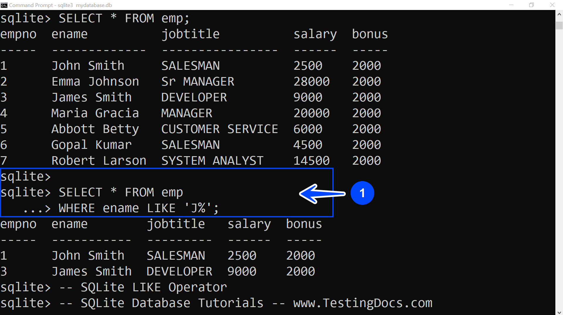 SQLite LIKE Operator